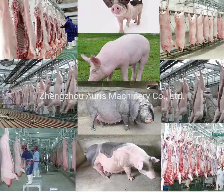 Industrial Piggery Slaughterhouse Equipment Sheep Cow Pig Hair Removal Machine Hair Pig Dehairing Machine